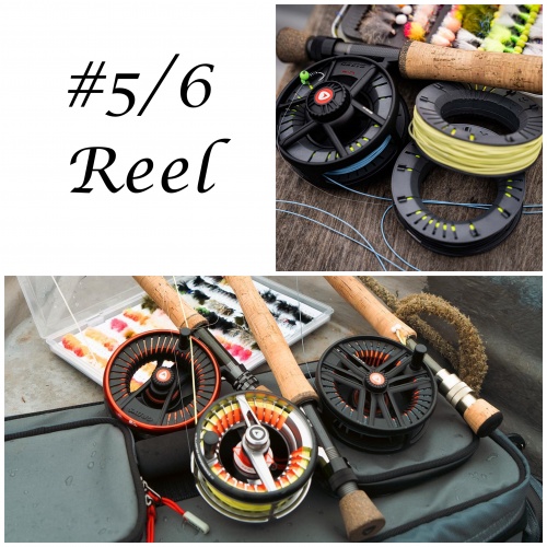 #5/6 Weight Fly Reels